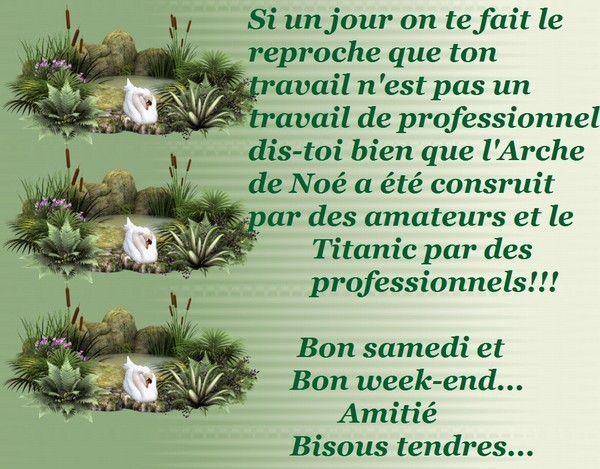 Si Un Jour On Te Fait Le Reproche